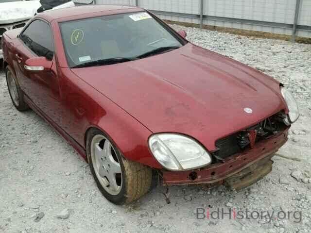 Photo WDBKK49F71F172346 - MERCEDES-BENZ SLK230 2001