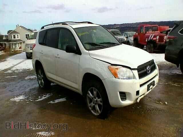 Фотография JTMBF4DV5CD046148 - TOYOTA RAV4 2012