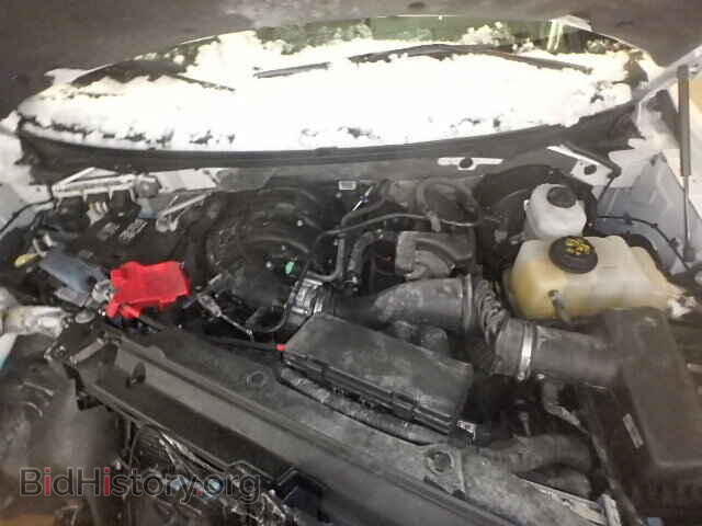 2013 FORD F150 - VIN: 1FTMF1CM3DKF77071 - Фото 7