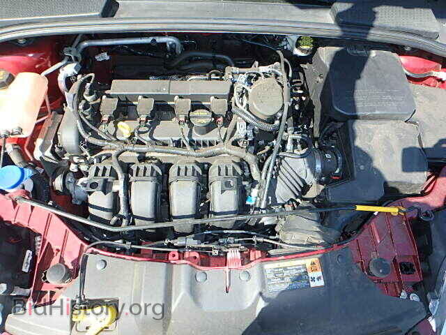 2013 FORD FOCUS - VIN: 1FADP3K22DL384015 - Photo 7
