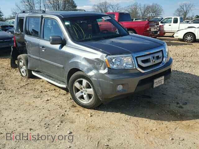 Фотография 5FNYF3H53BB018869 - HONDA PILOT 2011