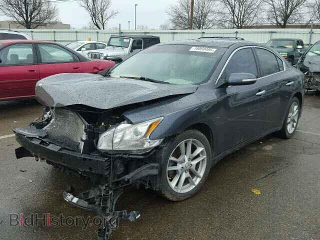 2009 NISSAN MAXIMA - VIN: 1N4AA51E29C818095 - Фото 2