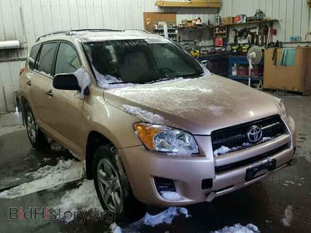 Фотография 2T3BF4DV6BW172455 - TOYOTA RAV4 2011