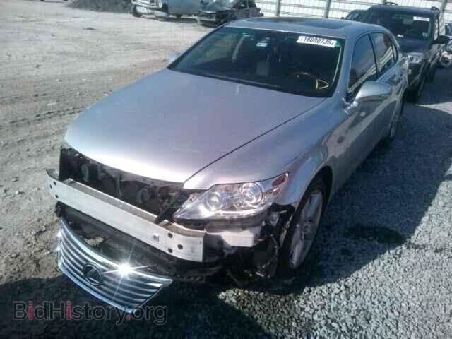 2010 LEXUS LS460 - VIN: JTHGL5EF8A5040815 - Фото 2
