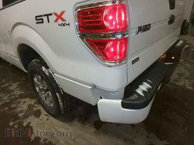2013 FORD F150 - VIN: 1FTFX1EF6DFD26638 - Фото 10