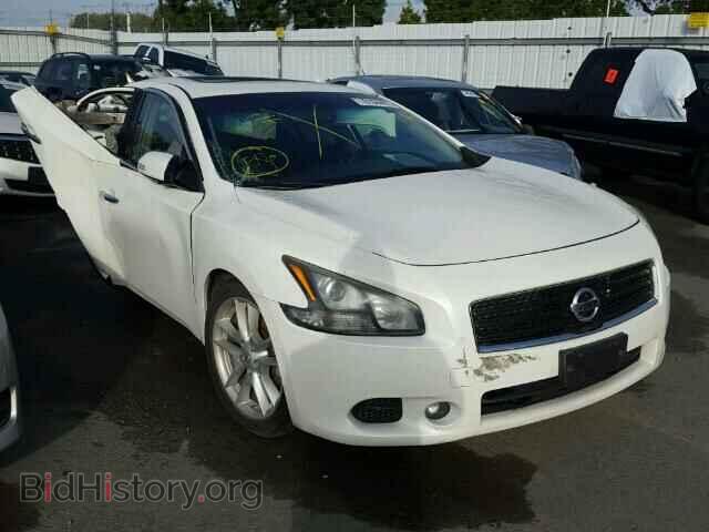 Photo 1N4AA5AP3BC800342 - NISSAN MAXIMA 2011