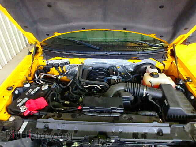 2013 FORD F150 - VIN: 1FTPF1CF8DKF06981 - Фото 7