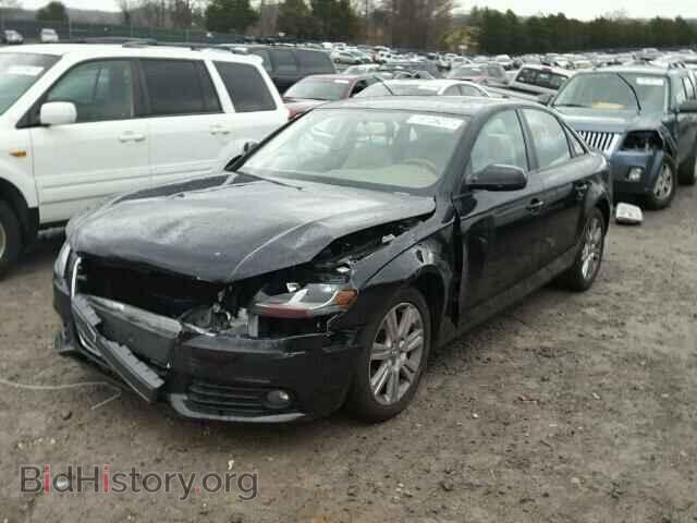 2010 AUDI A4 - VIN: WAUAFAFL9AN033395 - Фото 2