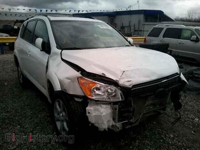 Фотография 2T3YK4DV8CW016960 - TOYOTA RAV4 2012