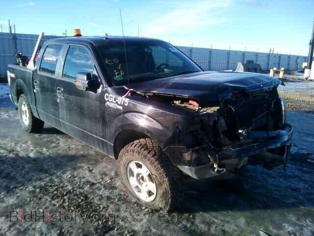 Фотография 1FTFW1EF8DFD72040 - FORD F150 2013