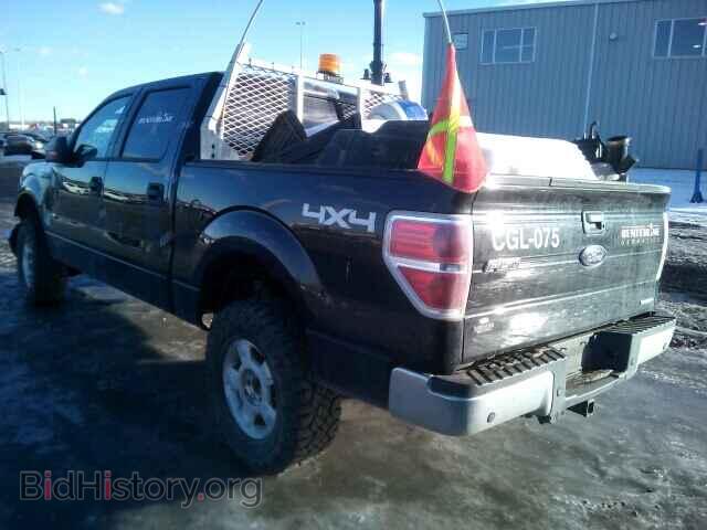 2013 FORD F150 - VIN: 1FTFW1EF8DFD72040 - Фото 3