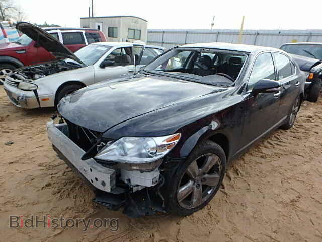 2010 LEXUS LS460 - VIN: JTHGL5EF2A5039529 - Фото 2