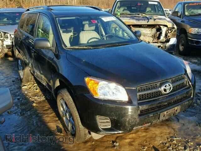 Фотография 2T3BF4DV8BW126707 - TOYOTA RAV4 2011