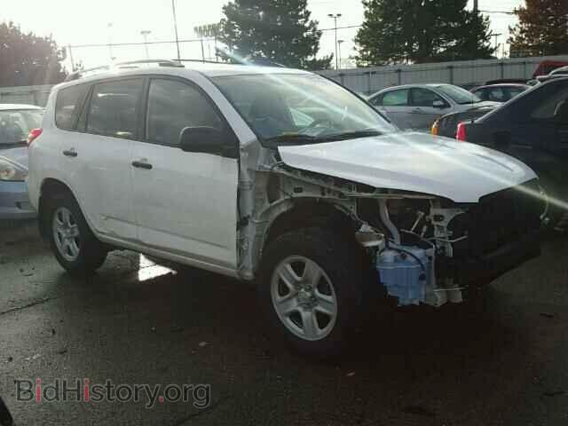 Фотография 2T3BF4DV5BW105555 - TOYOTA RAV4 2011