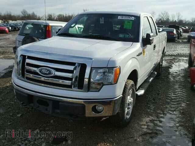 2011 FORD F150 - VIN: 1FTFX1EF1BFD15575 - Фото 2