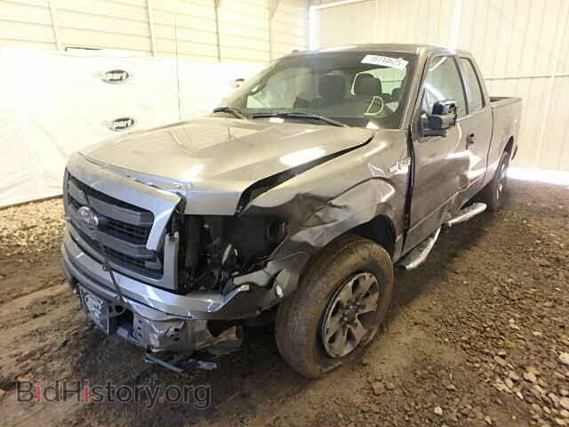 2013 FORD F150 - VIN: 1FTFX1EF6DFD74625 - Фото 2