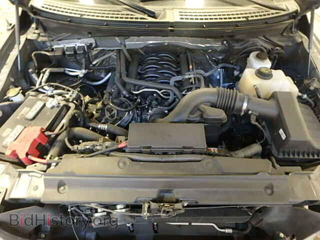 2013 FORD F150 - VIN: 1FTFX1EF6DFD74625 - Фото 7