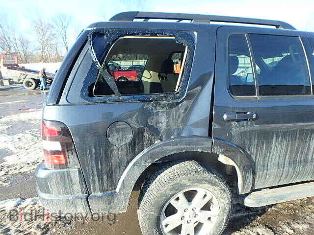 2010 FORD EXPLORER - VIN: 1FMEU7DE3AUA43746 - Фото 9
