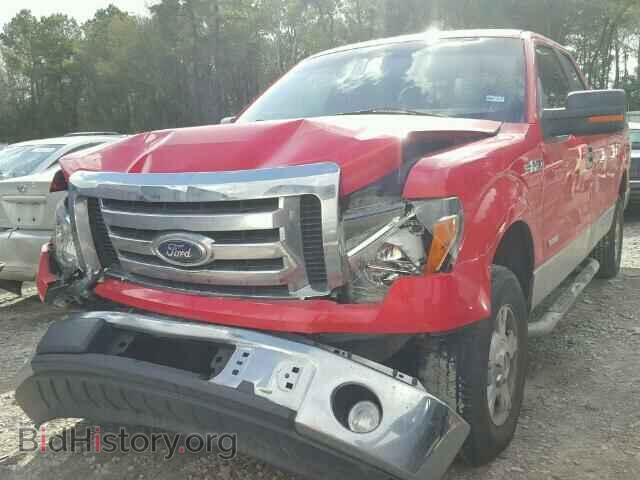 2011 FORD F150 - VIN: 1FTFX1CT3BFA93985 - Фото 2