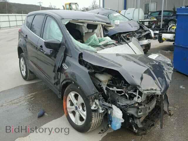 Фотография 1FMCU0GX9EUC16364 - FORD ESCAPE 2014