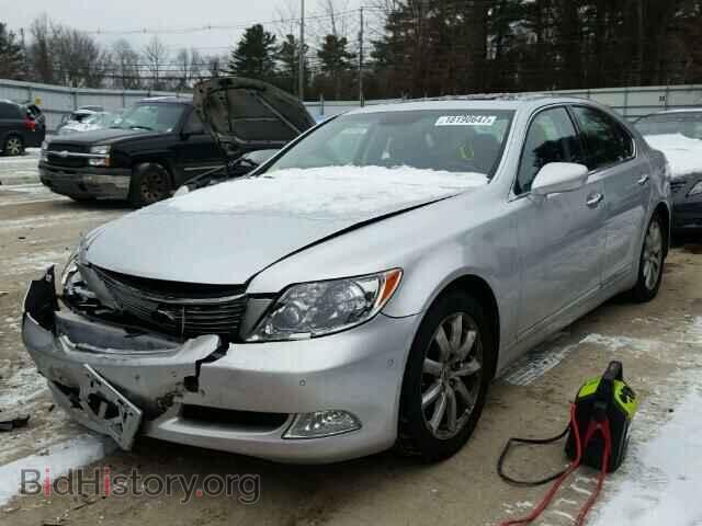 2008 LEXUS LS460 - VIN: JTHBL46F985056325 - Фото 2