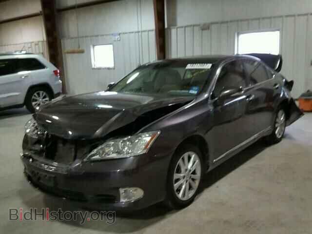 2011 LEXUS ES350 - VIN: JTHBK1EG1B2430981 - Фото 2