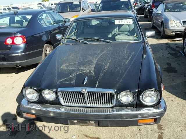 1986 JAGUAR XJ6 - VIN: SAJAV1342GC440077 - Фото 9