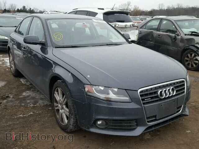 Фотография WAUBFAFL6AN034248 - AUDI A4 2010