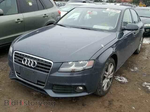 2010 AUDI A4 - VIN: WAUBFAFL6AN034248 - Фото 2