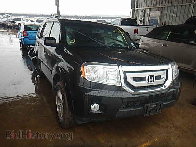 Фотография 5FNYF3H54BB017472 - HONDA PILOT 2011
