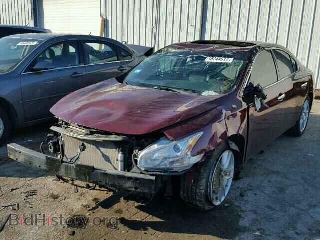 2010 NISSAN MAXIMA - VIN: 1N4AA5AP4AC806472 - Фото 2