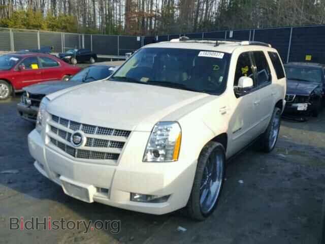 2013 CADILLAC ESCALADE - VIN: 1GYS4CEF9DR123240 - Фото 2