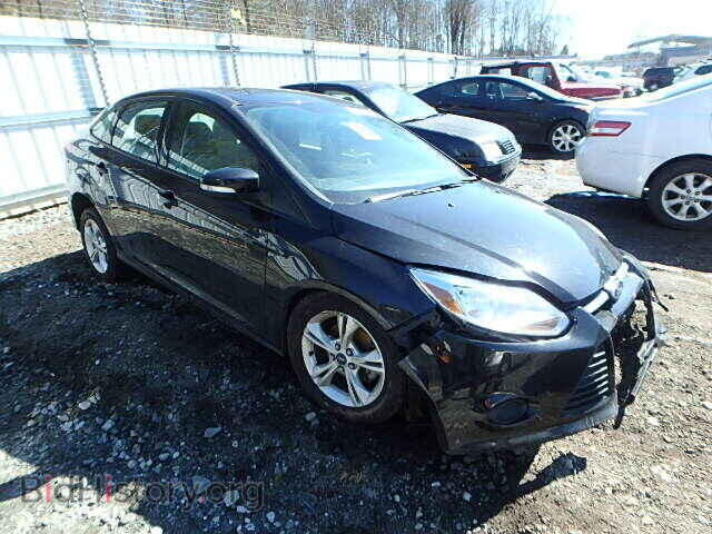Photo 1FADP3F23DL230679 - FORD FOCUS 2013