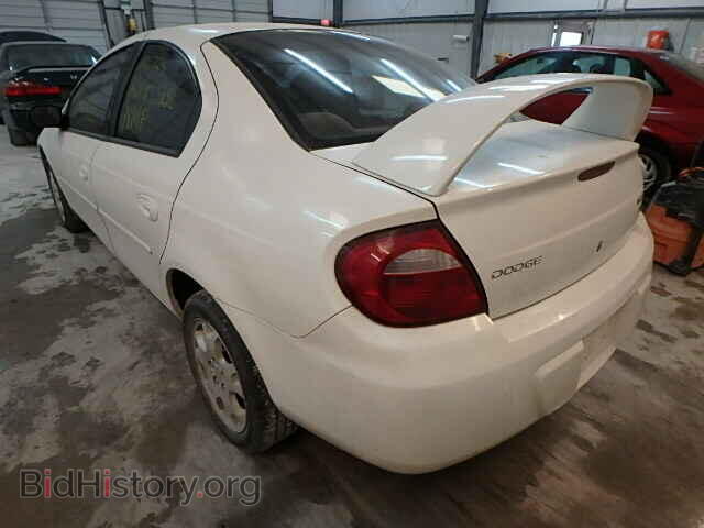 2005 DODGE NEON - VIN: 1B3ES56C45D181491 - Фото 3