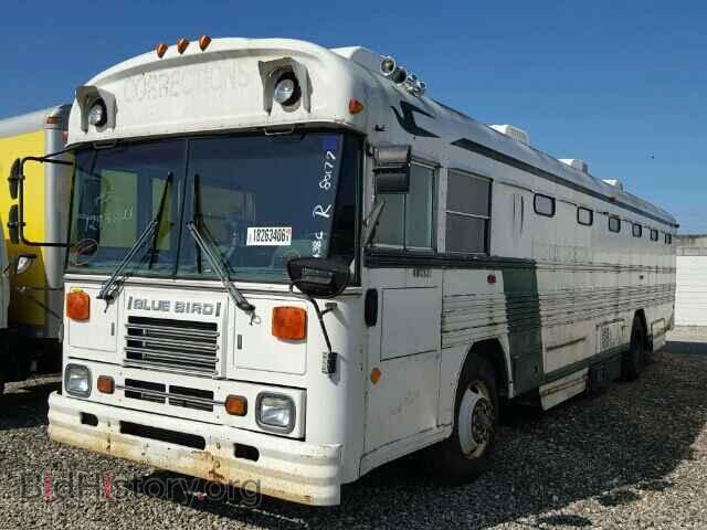 1995 BLUE BIRD ALL MODELS - VIN: 1BAALCSA5SF063978 - Photo 2