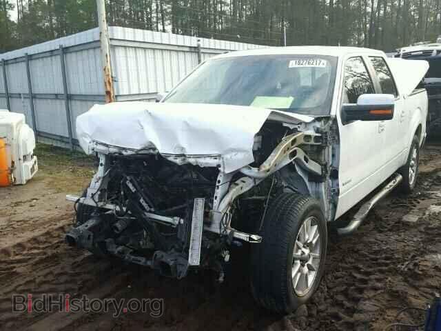 2011 FORD F150 - VIN: 1FTFW1CT8BFC09569 - Фото 2