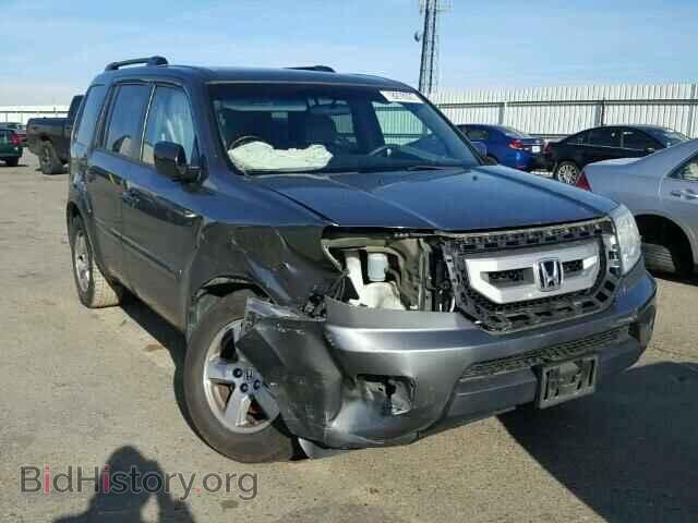 Фотография 5FNYF4H46BB003568 - HONDA PILOT 2011