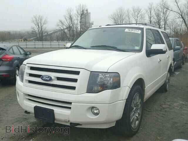 2010 FORD EXPEDITION - VIN: 1FMJU2A51AEB67286 - Фото 2