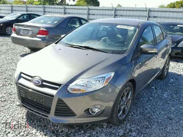 2013 FORD FOCUS - VIN: 1FADP3F26DL196530 - Фото 2