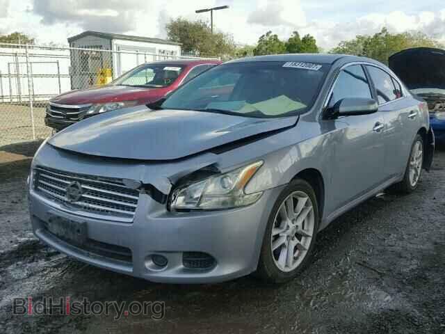 2009 NISSAN MAXIMA - VIN: 1N4AA51E59C832721 - Фото 2