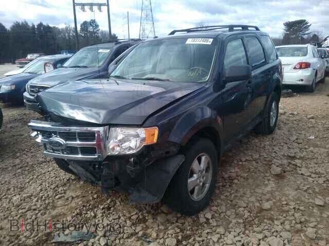 2009 FORD ESCAPE - VIN: 1FMCU03G29KA10648 - Фото 2
