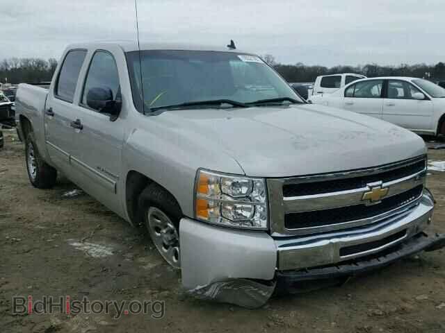Фотография 3GCEC13C79G229664 - CHEVROLET SILVERADO 2009