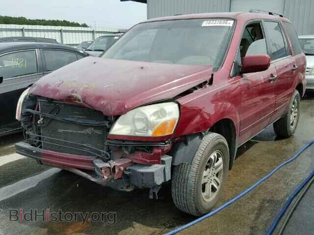 2005 HONDA PILOT - VIN: 5FNYF18655B062521 - Фото 2