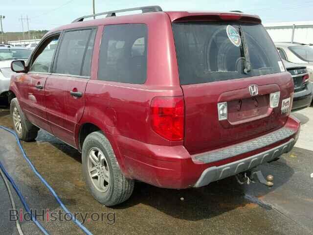 2005 HONDA PILOT - VIN: 5FNYF18655B062521 - Фото 3