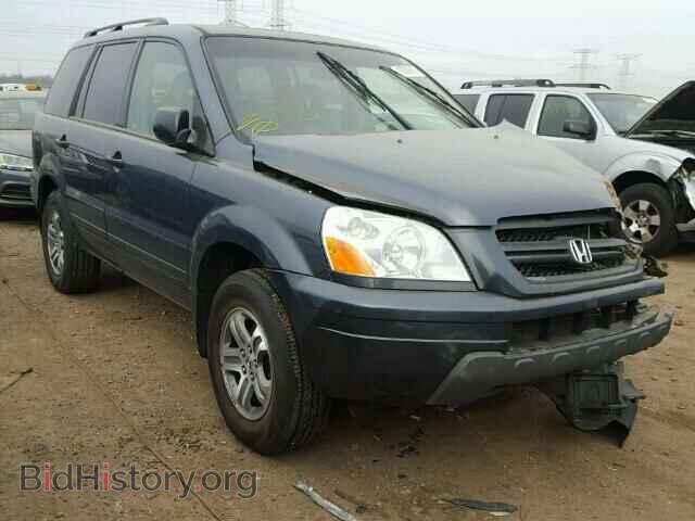 Фотография 5FNYF18535B034465 - HONDA PILOT 2005