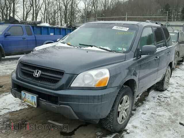 2005 HONDA PILOT - VIN: 2HKYF185X5H525181 - Фото 2