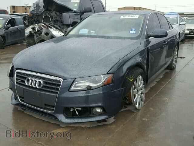 2011 AUDI A4 - VIN: WAUFFAFL8BN044797 - Фото 2