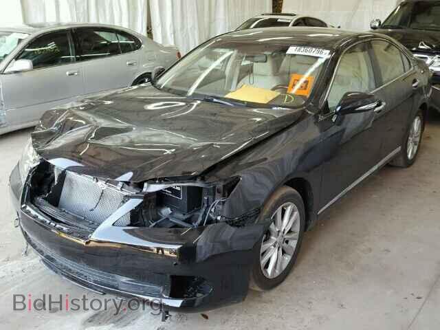 2011 LEXUS ES350 - VIN: JTHBK1EG9B2454669 - Фото 2