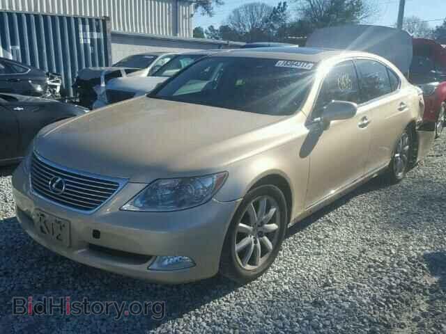 2009 LEXUS LS460 - VIN: JTHBL46F095087030 - Фото 2