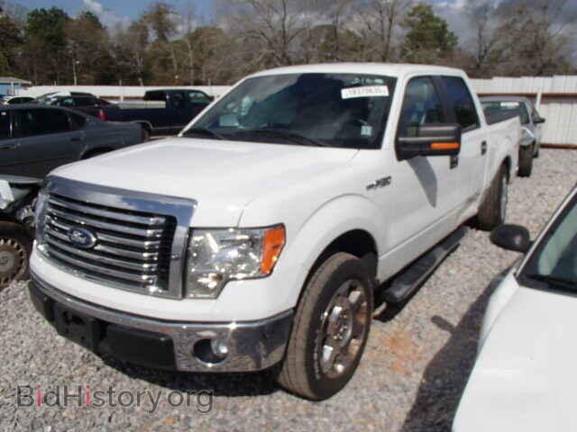 2011 FORD F150 - VIN: 1FTFW1CF3BFB51901 - Фото 2